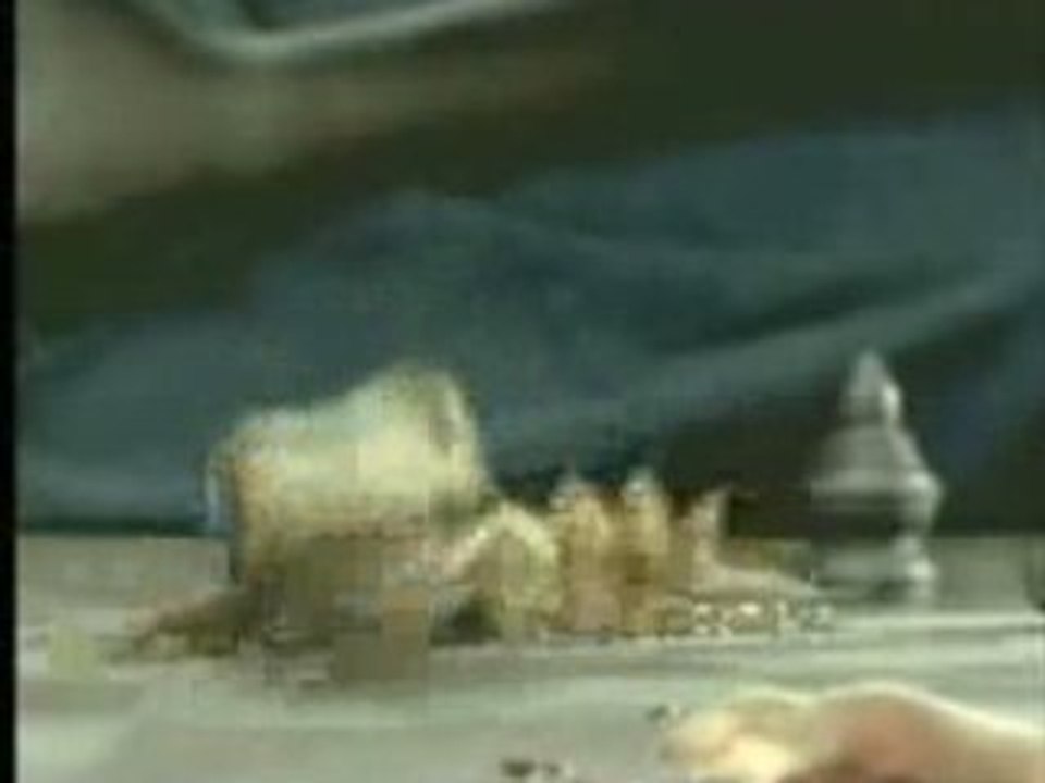 Funny Thai Commercial