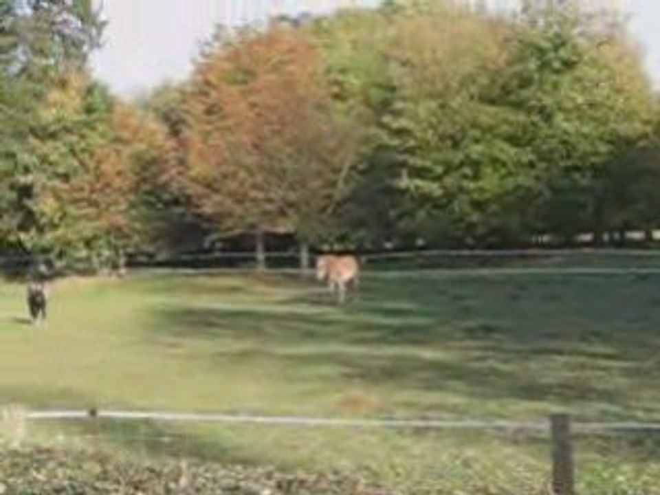 Montage Balade 23 octobre