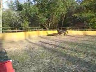 Super Saut de Loupètte!