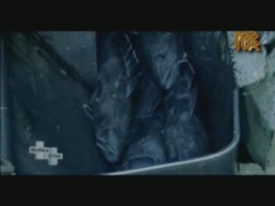 Crimes écologique - Les Pirates du 21éme siècle