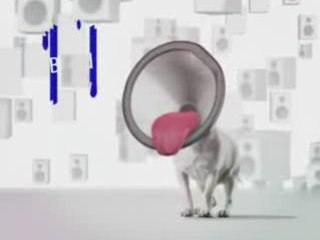 Terrakota: «Metisses» (brand:new tapete)