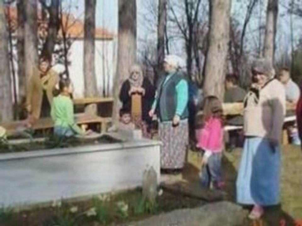 Ayancık Ağaçlı Köyü Tanıtım Videosu