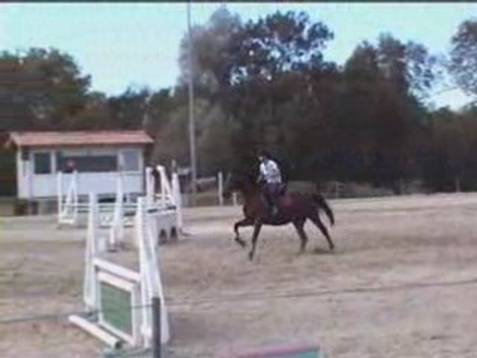 Cheval Garonne école véto 2008