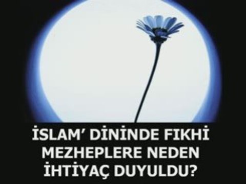 Mezheplerin ortaya cikis sebepleri