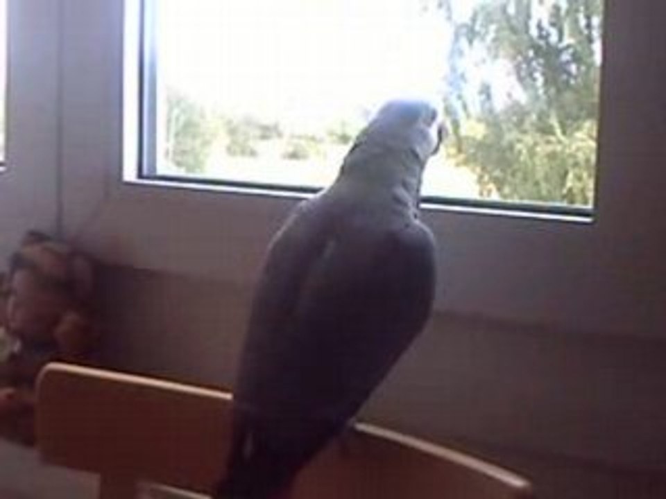 Miko dit "et le cucul"