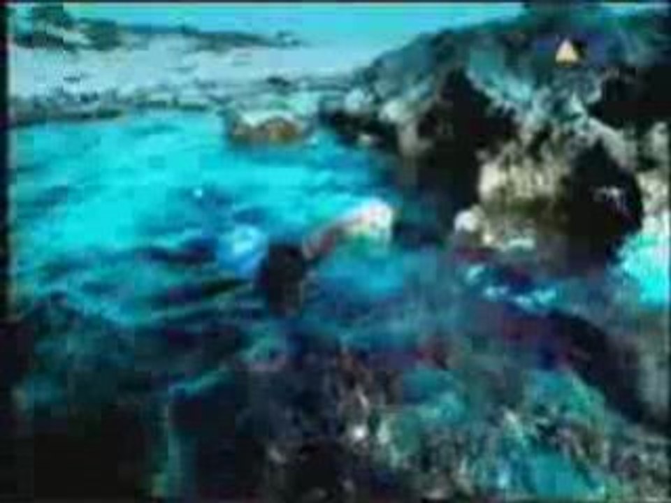 BILLY HENDRIX - BODY SHINE