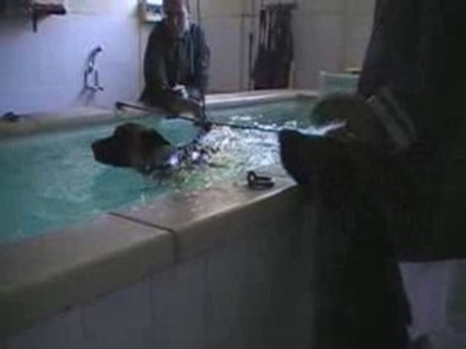 MOV042