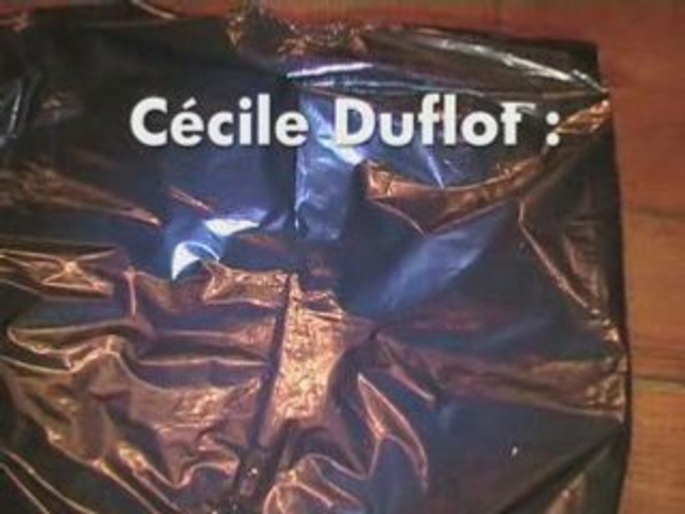 Duflot1