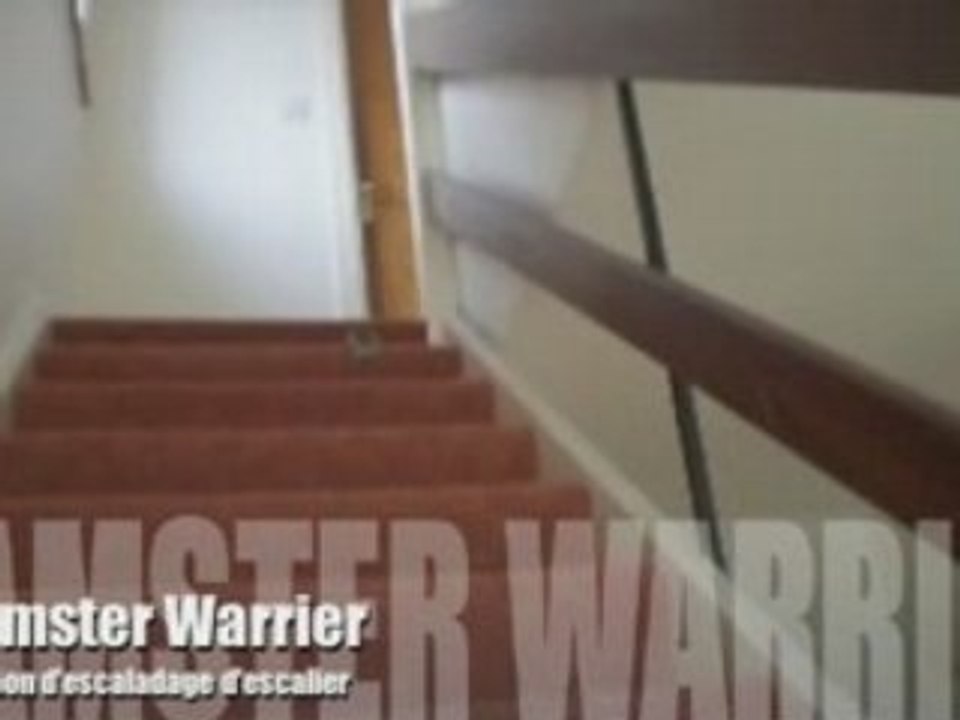 HAmster NAth