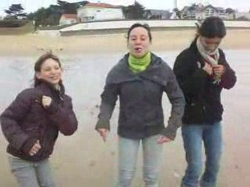 toorrrototo!