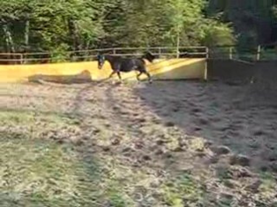 La Loupètte se la Pète!