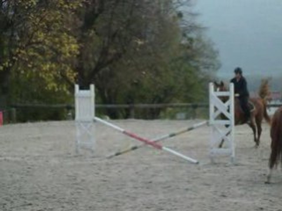 Moi et Gitane en saut d'obstacle