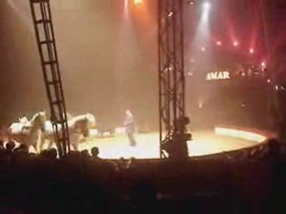 Le cirque