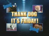 THANK DOG IT'S FRIDAY on JUDGE DAVID YOUNG!