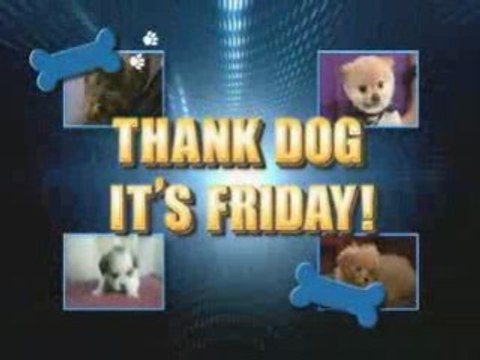 THANK DOG IT'S FRIDAY on JUDGE DAVID YOUNG!