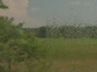 American Home Craft, Inc. AHCI