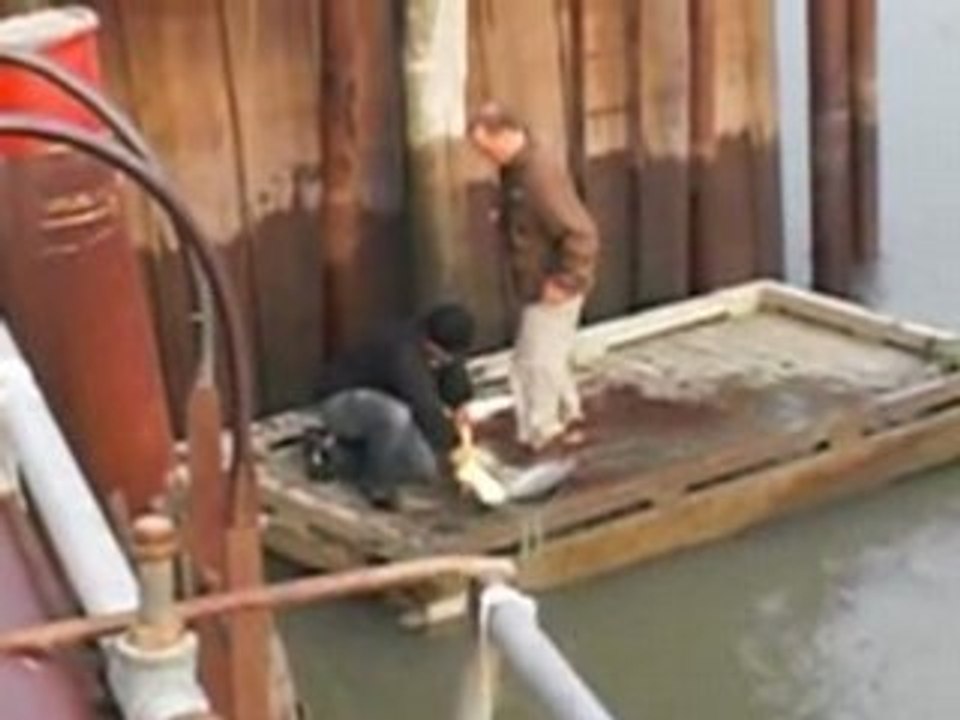 alaska