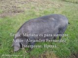 Marrana es para siempre ENTRADA