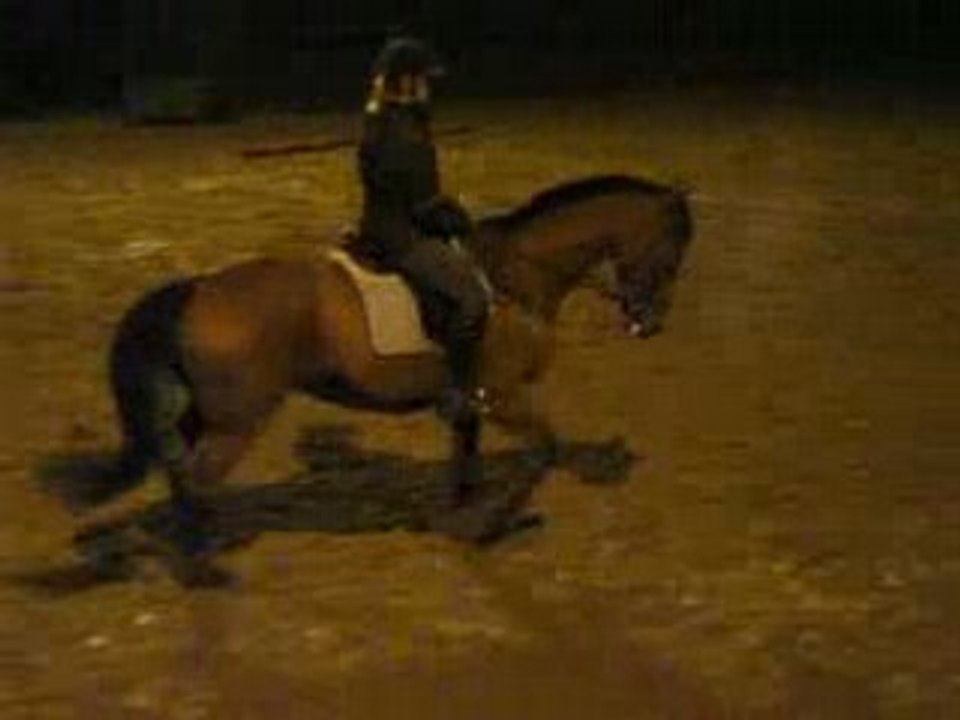 Cours obstacle 23.10