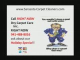 Sarasota Florida Carpet Cleaning and Carpet Cleaners