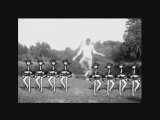 Swan Lake - Dance of the Four Swans (Experimental Video)