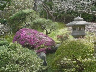 Jardin japonais (San Francisco)
