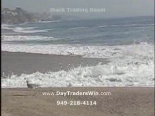 Trading Room Stocks, Stock Trading Room, Day Trading Toom