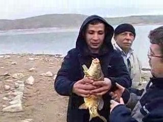 SAZAN UZMANI İBRAHİM