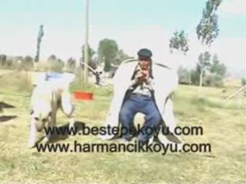 Sivas Merkez Beştepe Harmancık Köyü