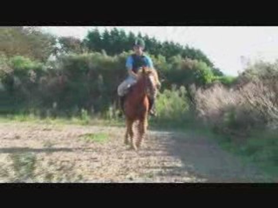 Raidergalop1