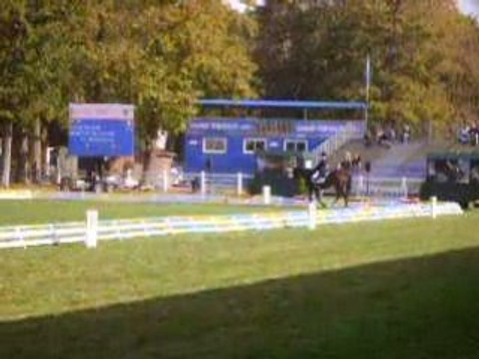 dressage lion d'angers