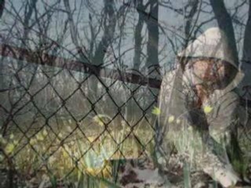 ИЗ РОССИИ С ЛЮБОВЬЮ....