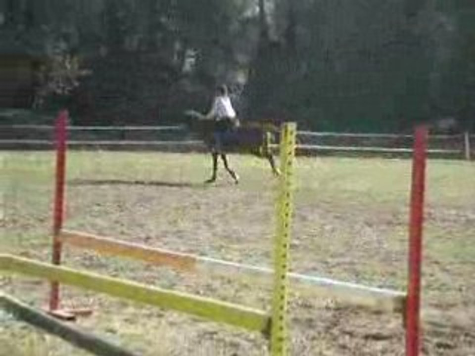 Djoly entrainement cso