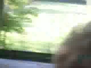 Schepens Jean Luc Clio Williams