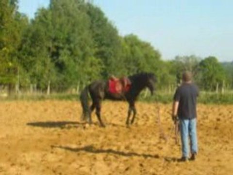 348_146; Urugay, travail en longe