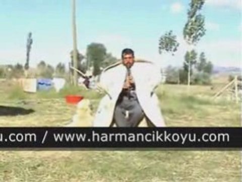 Sivas Merkez Beştepe Harmancık Köyü