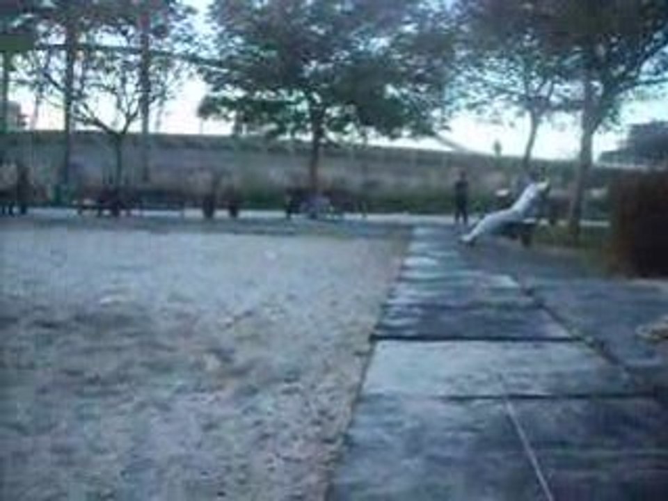 intento de aerial twist