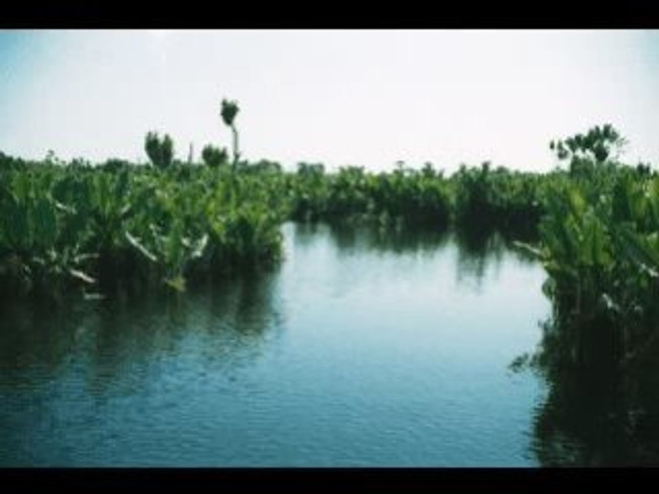 Big Jim Dah Madagascar