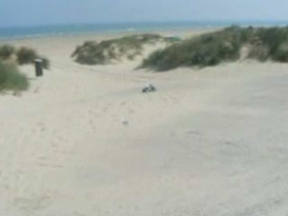 SORTIES BAJA