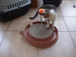 Décibel et la balle