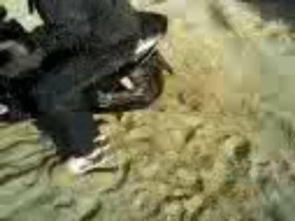 thibaus et son scoot