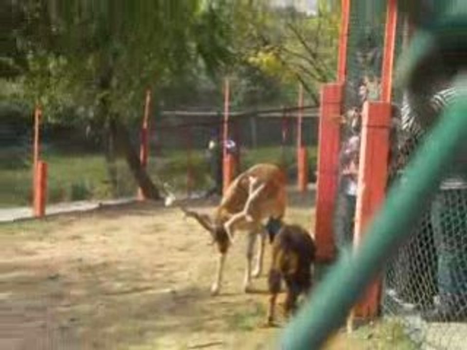 park ada