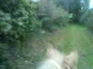 Pilou vers club a cru