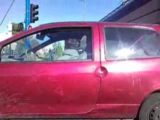 Mamie Twingo 16V