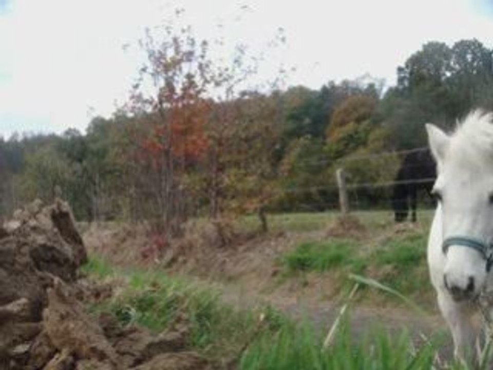 Nalha, 25.10 , nouvel ordre ''reste''