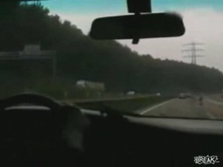 Stuffed Animal Causes Car Crash