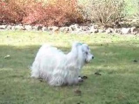 Cookie Normandie 23/24 octobre 2008 3