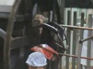 BOUCHERIE SAADA HYERES