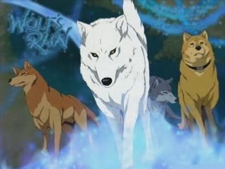 Wolf's rain