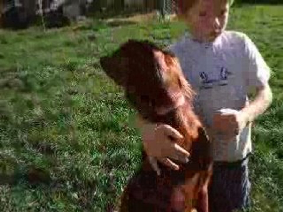 Video portee belle blitz 14 09 08 chiots 5 sem (3)